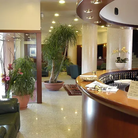 Excelsior 4* ماجنتي